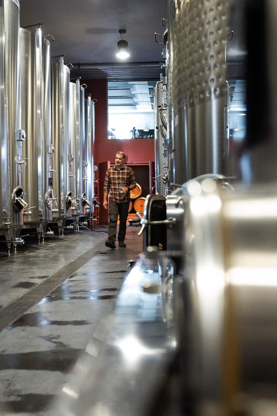 Fabien Coucet, Gérant und Kellermeister