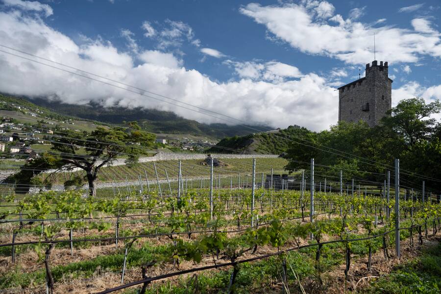 Clos du Château de Goubing in Sierre, ausserordentliche Lage in Sierre