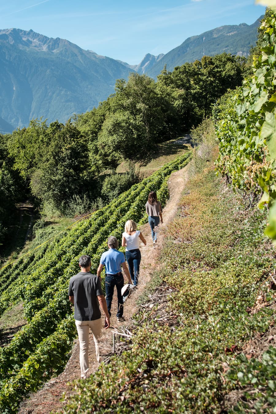 Œnotourisme Valais Wallis Promotion