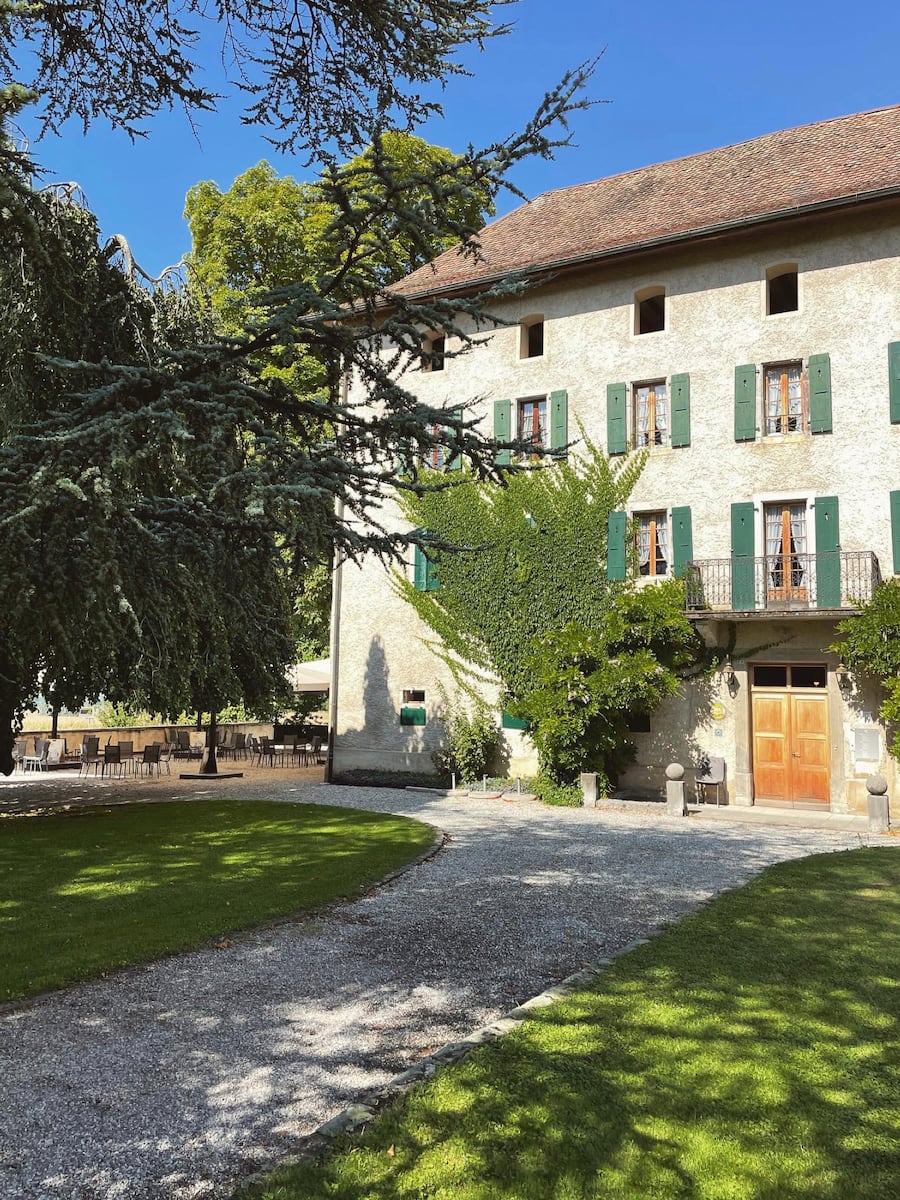Ombelle chasselas en cannette Abbaye de Salaz Ollon OVV Office des Vins Vaudois