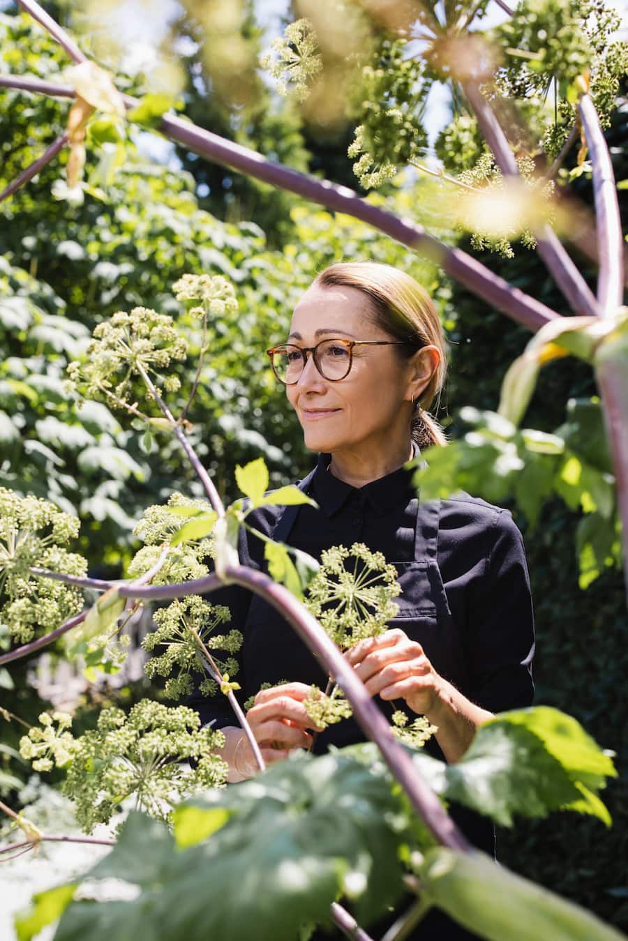 Pressebilder via Webseite