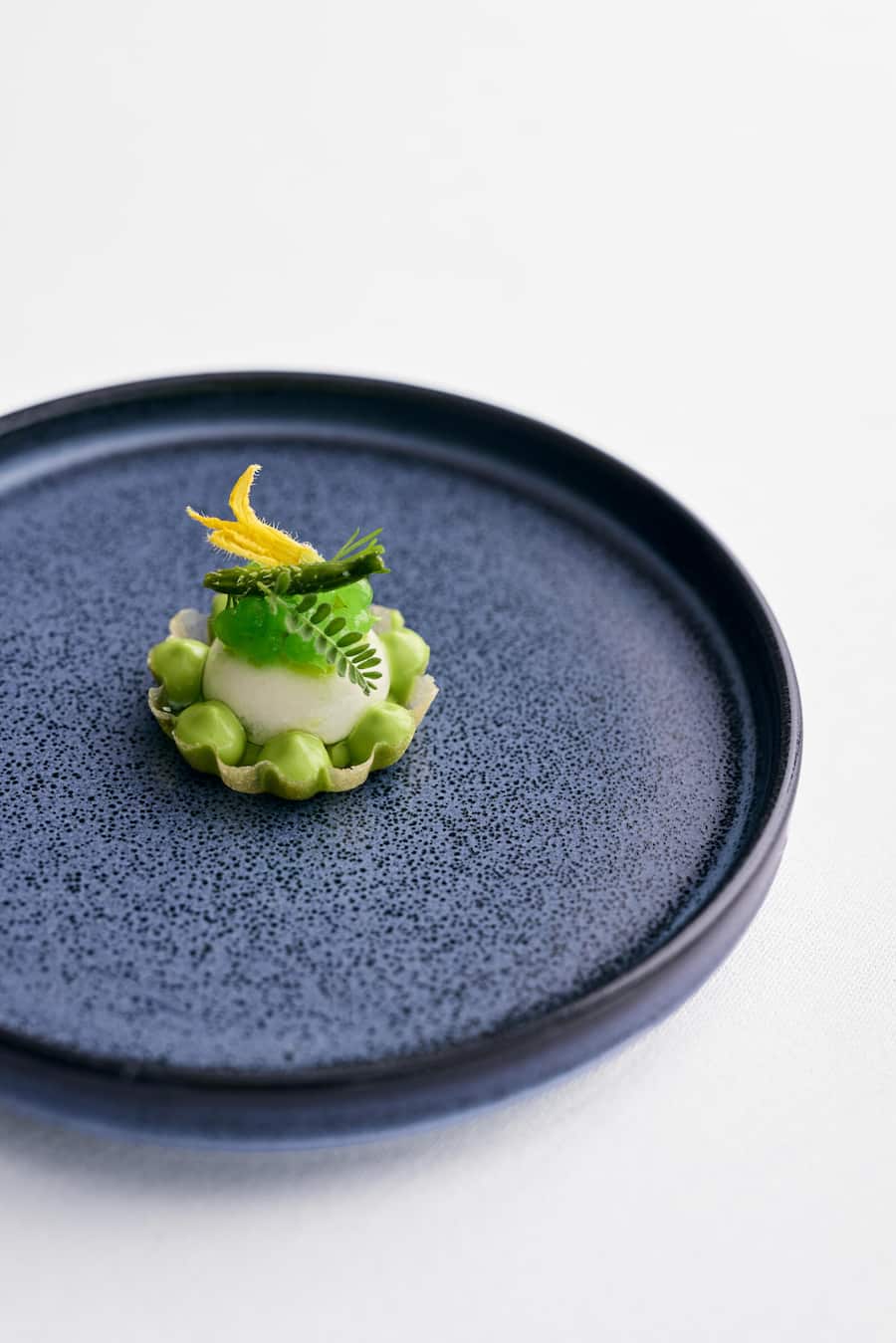 Tartelette | Joghurt | Gurke | Dill
