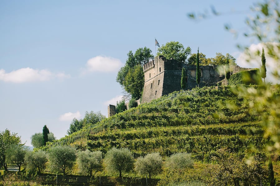 Tenuta Castello di Morcote, Weingut Vico Morcote, TI