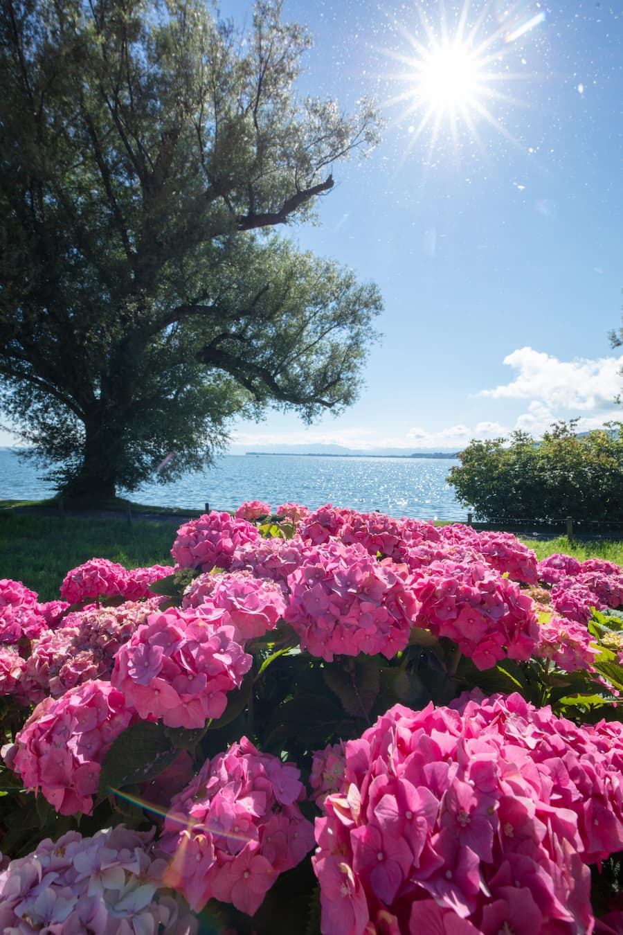 Villa am See Goldach