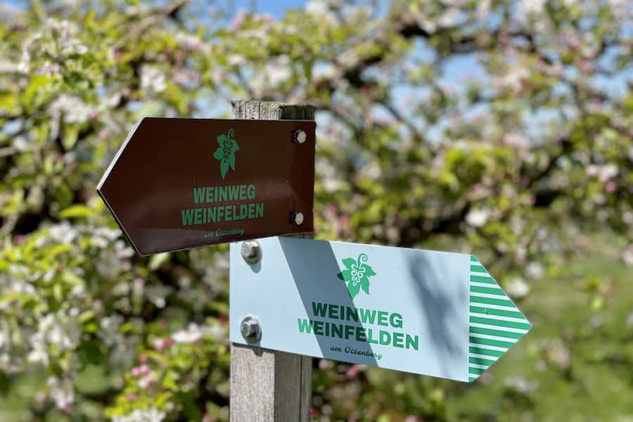 Weinwandern in Weinfelden TG