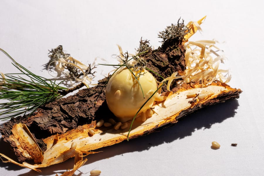 Alles von der Arve als Glace, Flechte, Nadeln, Nüssli von Stefan Wiesner, Wiesner Mysterion, GaultMillau Garden Party 2024 Gerichte Gericht / Gerichte