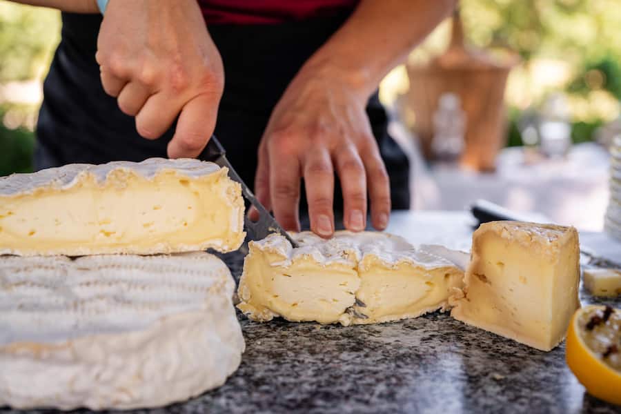 Bio Brie Cru Blanc - Rolf Beeler Käse - GaultMillau Garden Party 2024 - 11. August 2024 - Copyright Olivia Pulver