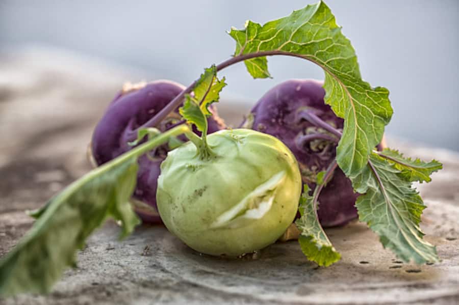 close-up of green and purple cabbage turnips