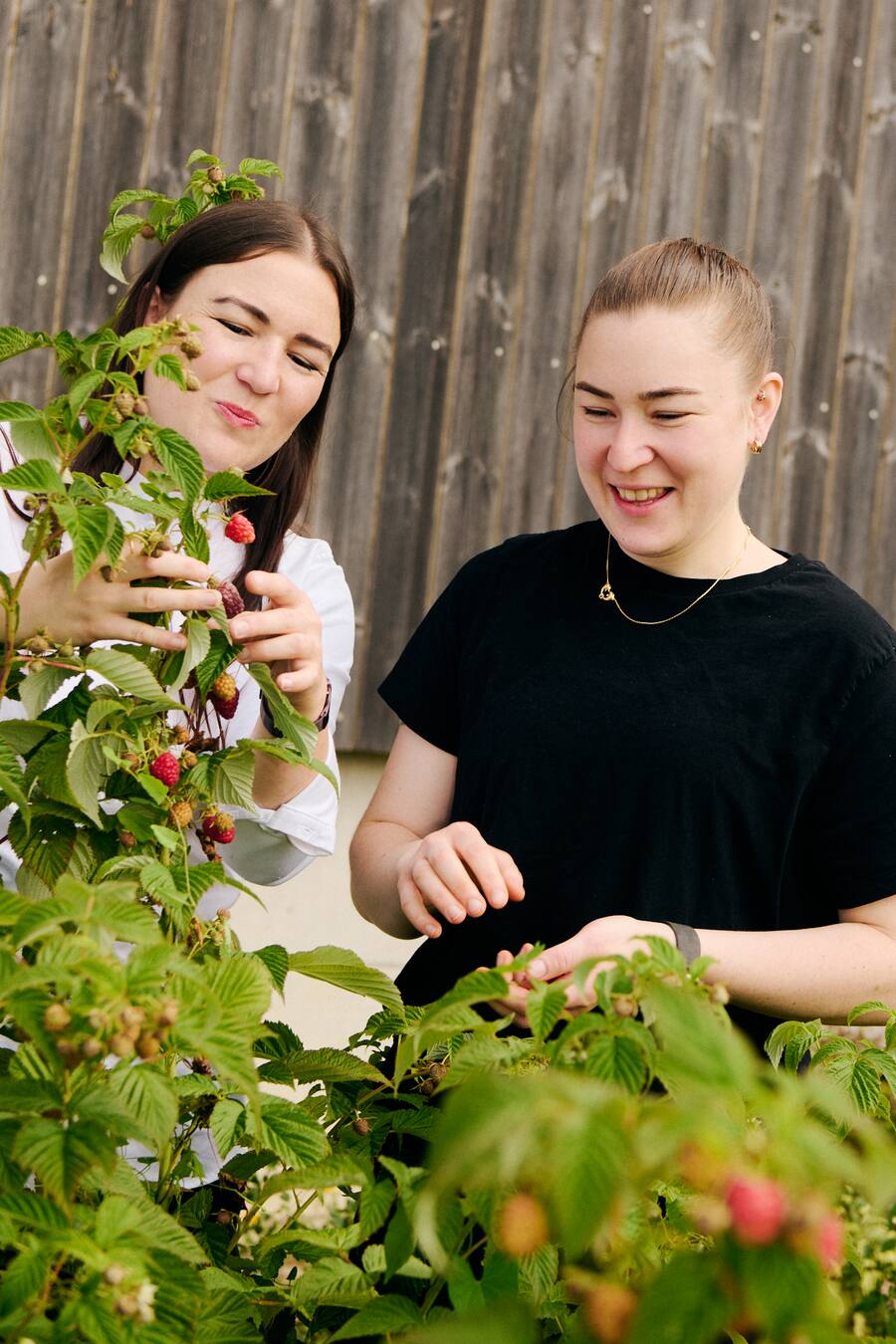GMC Rest. Augarten Untere Steig 15, 8462 Rheinau ZH Rubrik Schweizer FleischSchwestern Nicole (Gastgeberin) und Anica (Köchin) Schmid
