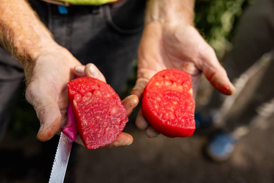 14.08.2024, Rüschegg BE, Bio Cuisine Bio Hof Zbinden (photo by Remy Steiner for Gault Millau)
