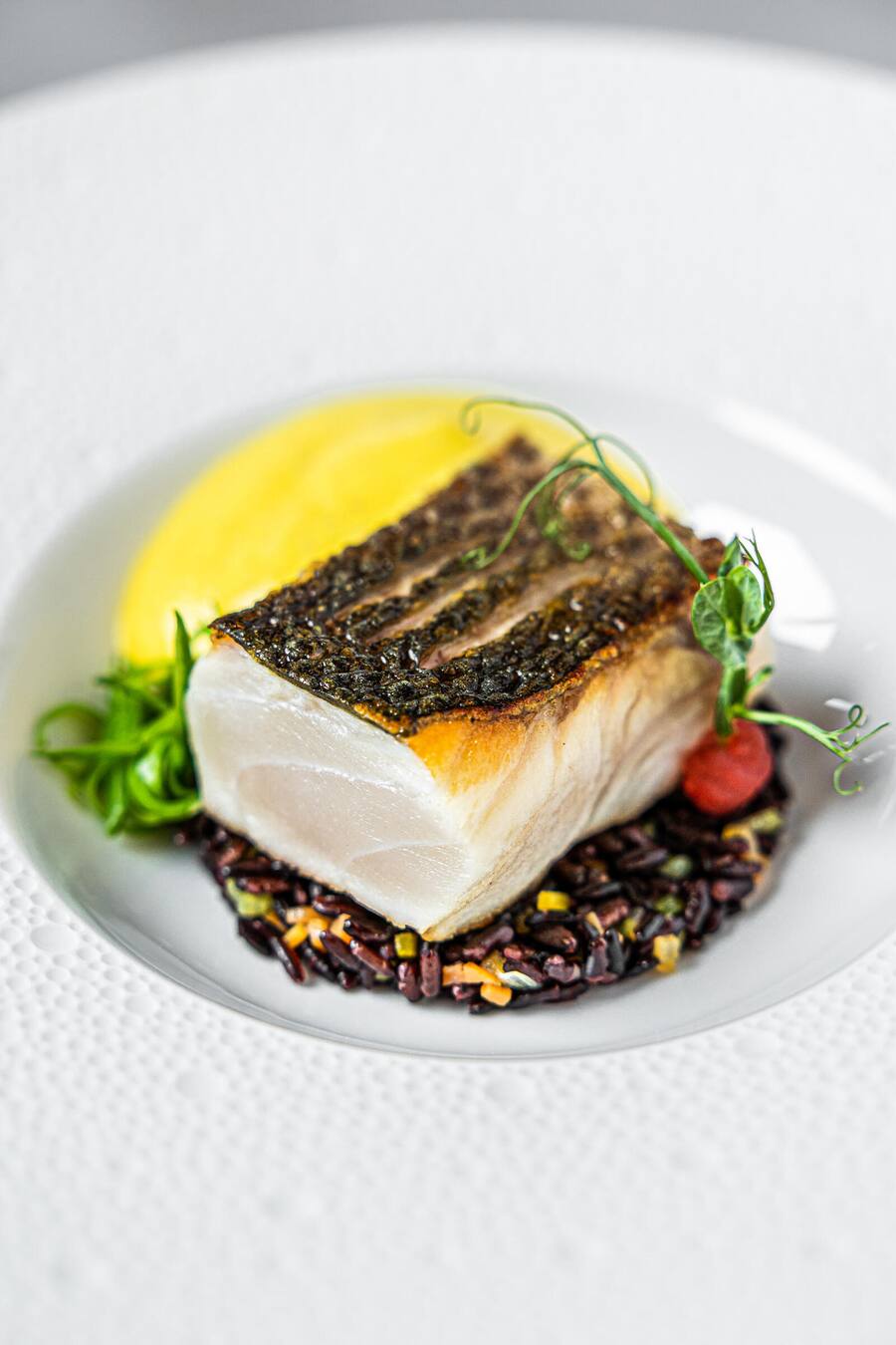 wolfsbarsch mit Venusreis und Kurkuma-Ingwer-Mousse