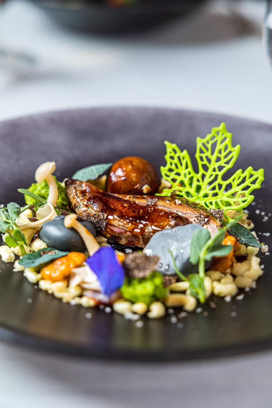 Mieral Taube mit Pilzen Gänseleber und Pflaumengel