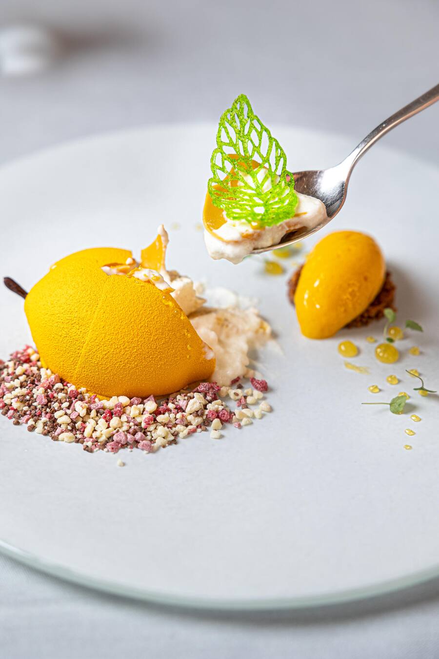 Zitrone an weisser Schokolade und Zibibbo-Sorbet
