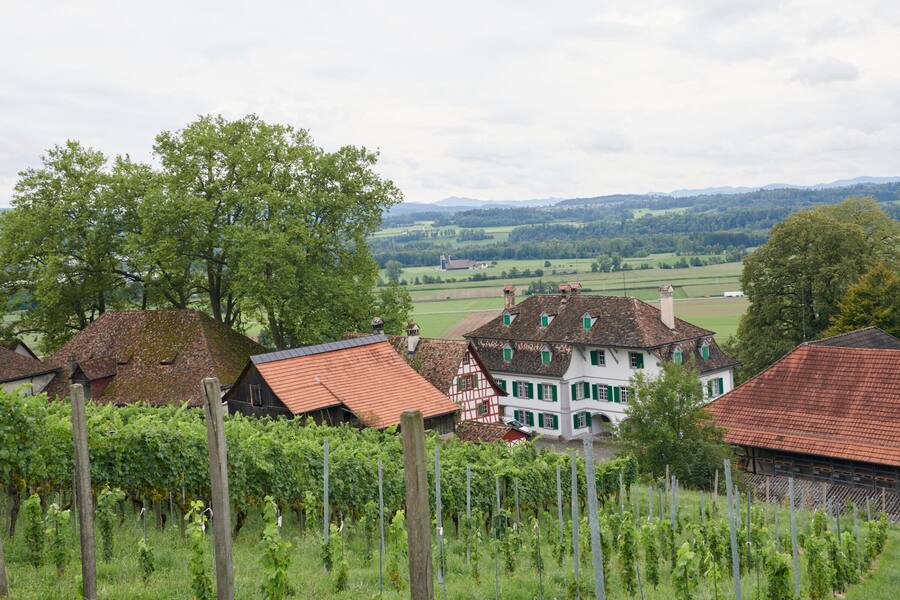 Schlossgut bachtobel