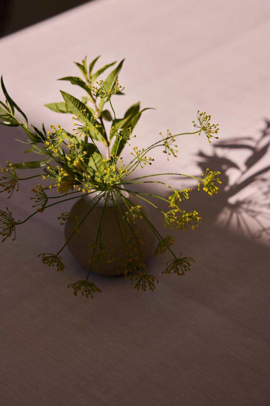 Blumen Tanja Grandits