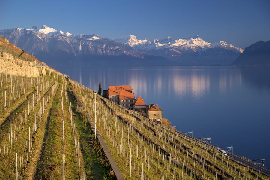 Weingut im Dézaley, Ville de Lausanne