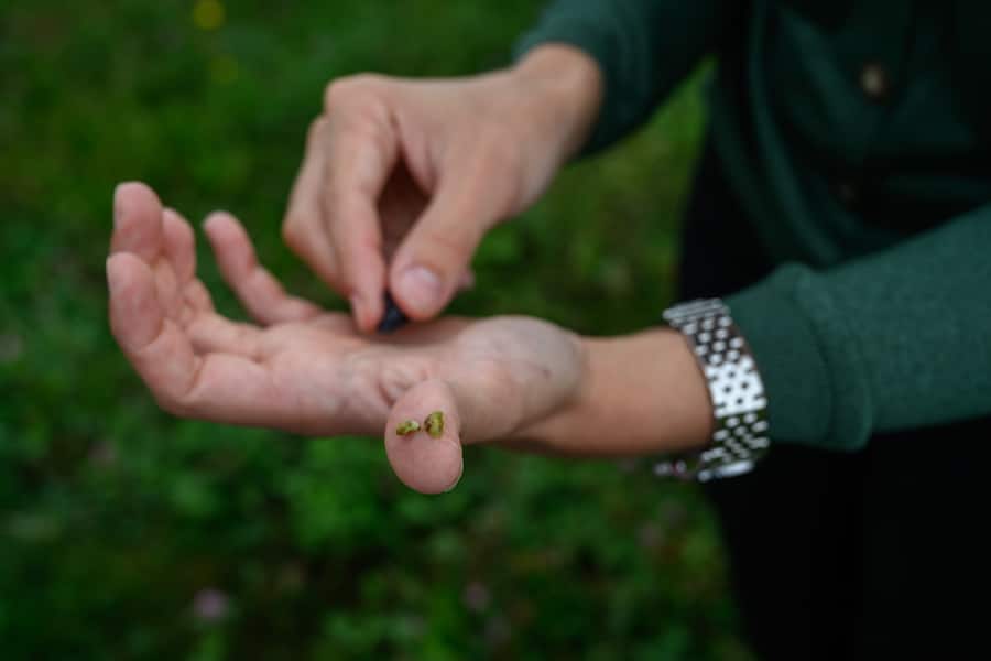 Colombier, 5 septembre 2024.Reportage au domaine de Chambleau en compagnie de Charlotte Burgat.©François Wavre | Lundi13
