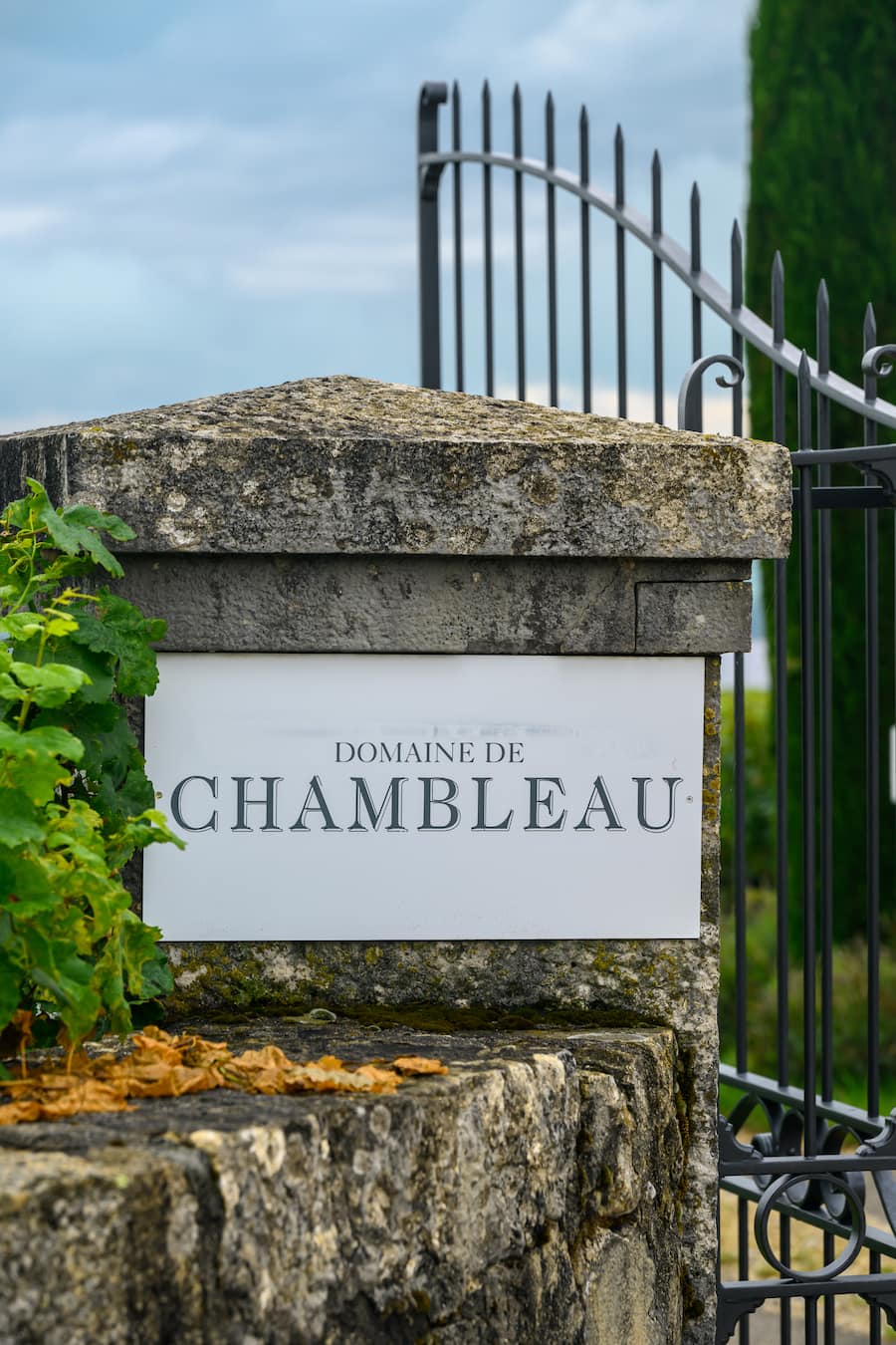 Colombier, 5 septembre 2024.Reportage au domaine de Chambleau en compagnie de Charlotte Burgat.©François Wavre | Lundi13