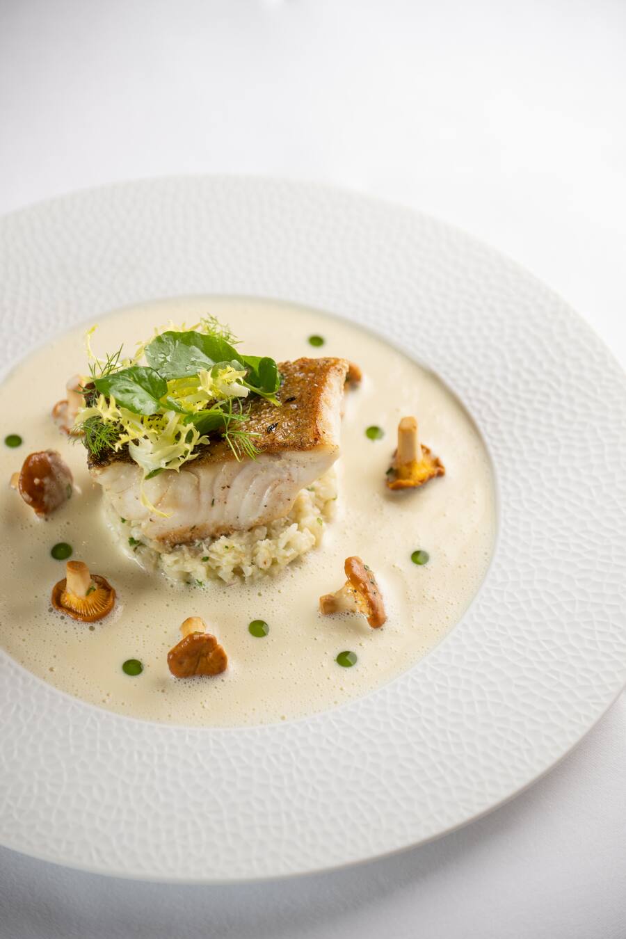 GM_Jacks_Brasserie Zanderfilet aus dem Lago Maggiore auf Blumenkohlstampf mit Leinsamenöl, sautierten Eierschwämmli und Zitronen Noilly Prat Schaum