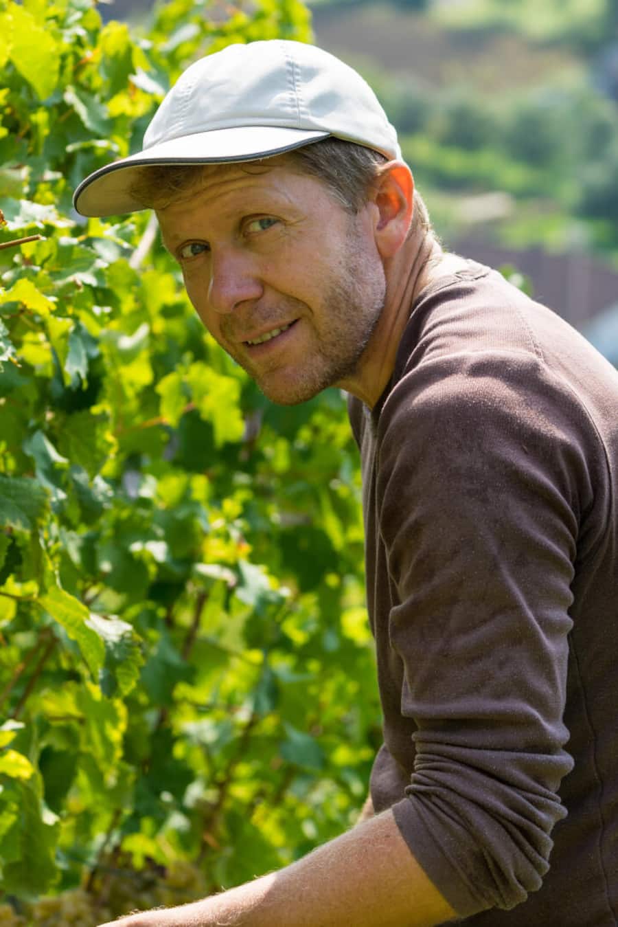 Hoss Hauksson Weine, Ruefenach © HO