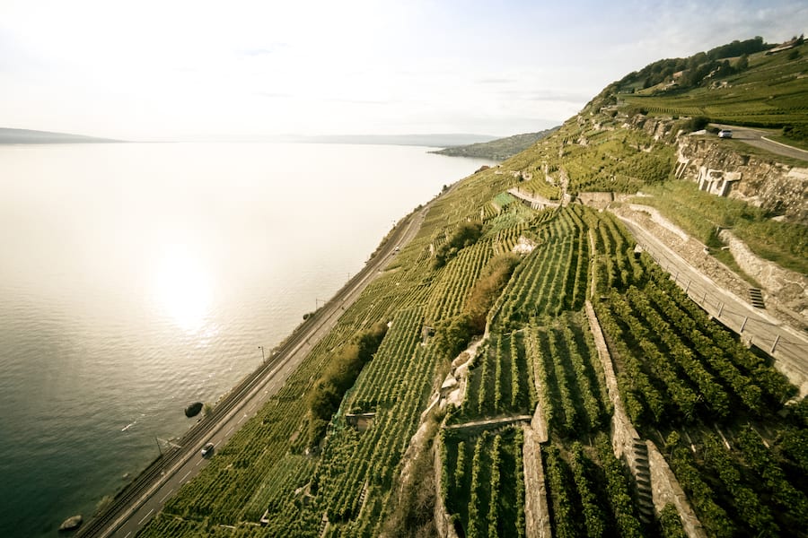 Photographer: David Carlier, www.davidcarlierphotography.com