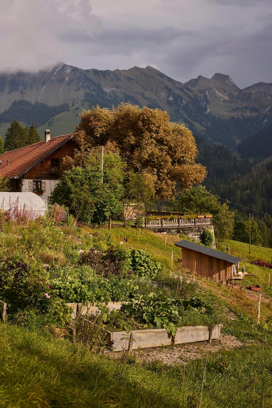 Pinte des Mossettes, Nicolas Darnauguilhem, Route des Echelettes 8, 1654 Cerniat