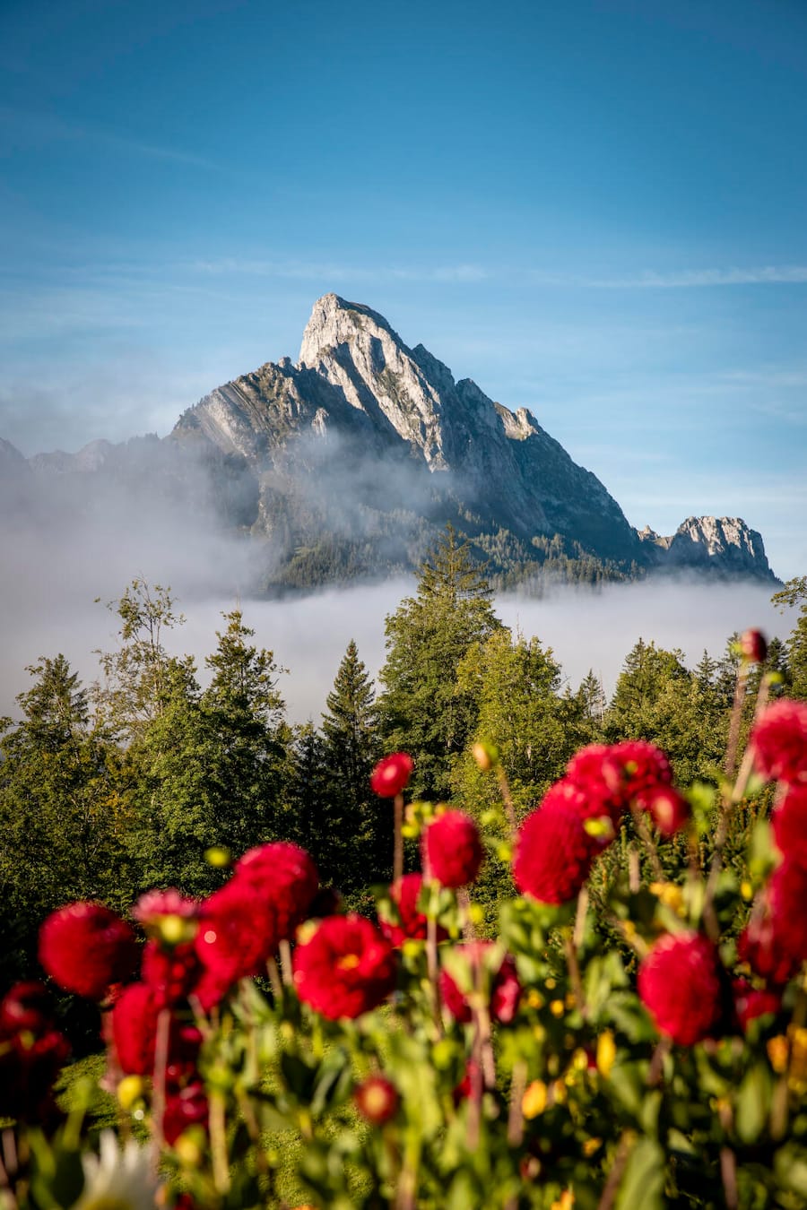 BE WTR. Louise & Erich Baumer. Restaurant Sonnenhof in Saanen bei Gstaad. 06.09.24