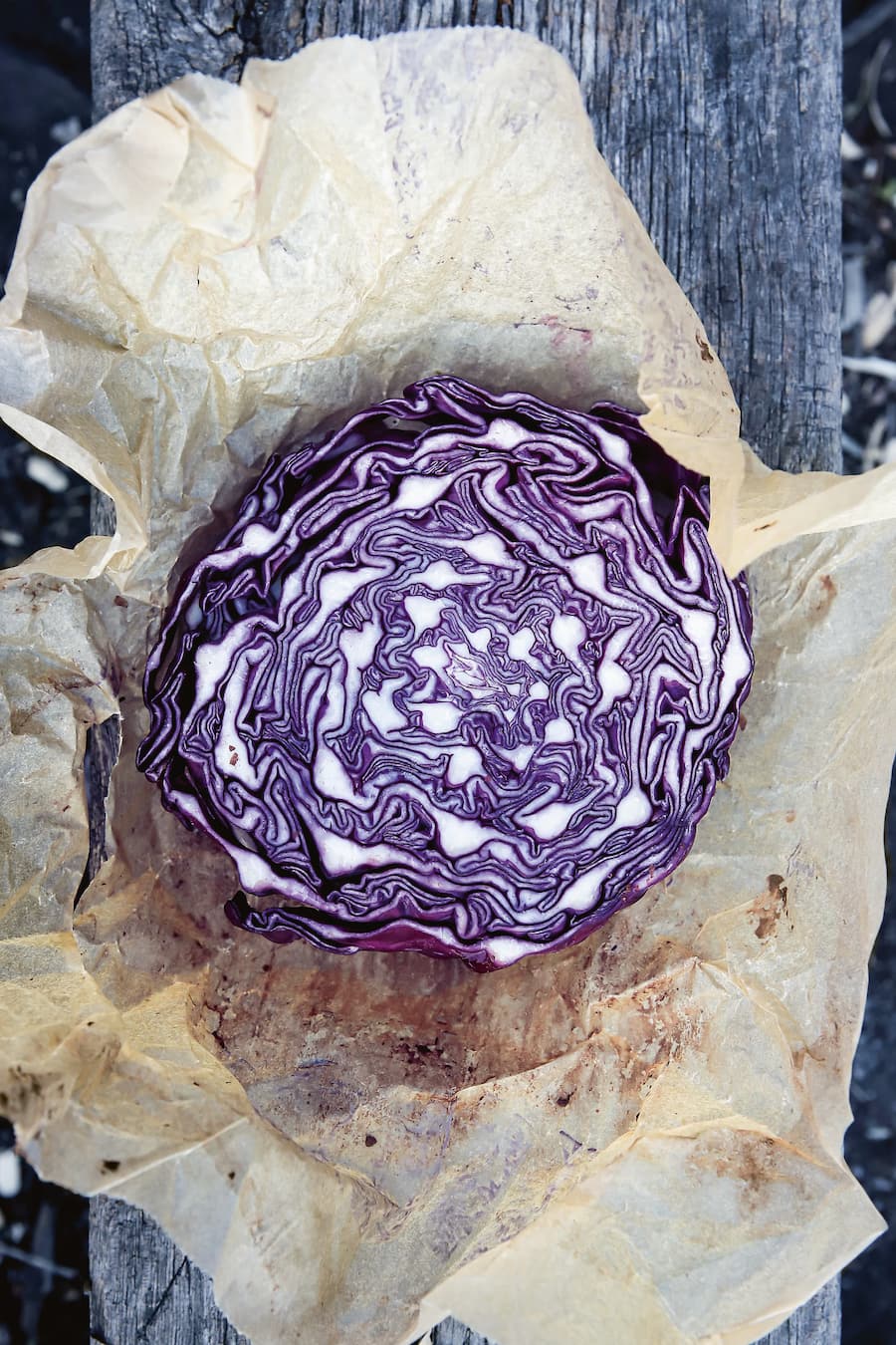 Wild und Wein am Rhein, 2024