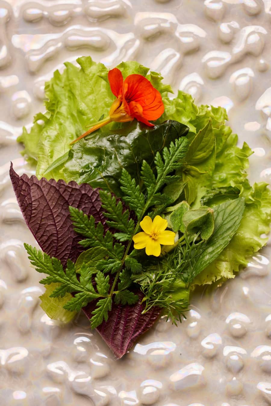 Pinte des Mossettes, Nicolas Darnauguilhem, Route des Echelettes 8, 1654 CerniatGericht:Herbier vivant de notre jardinLebendes Herbarium aus unserem Garten