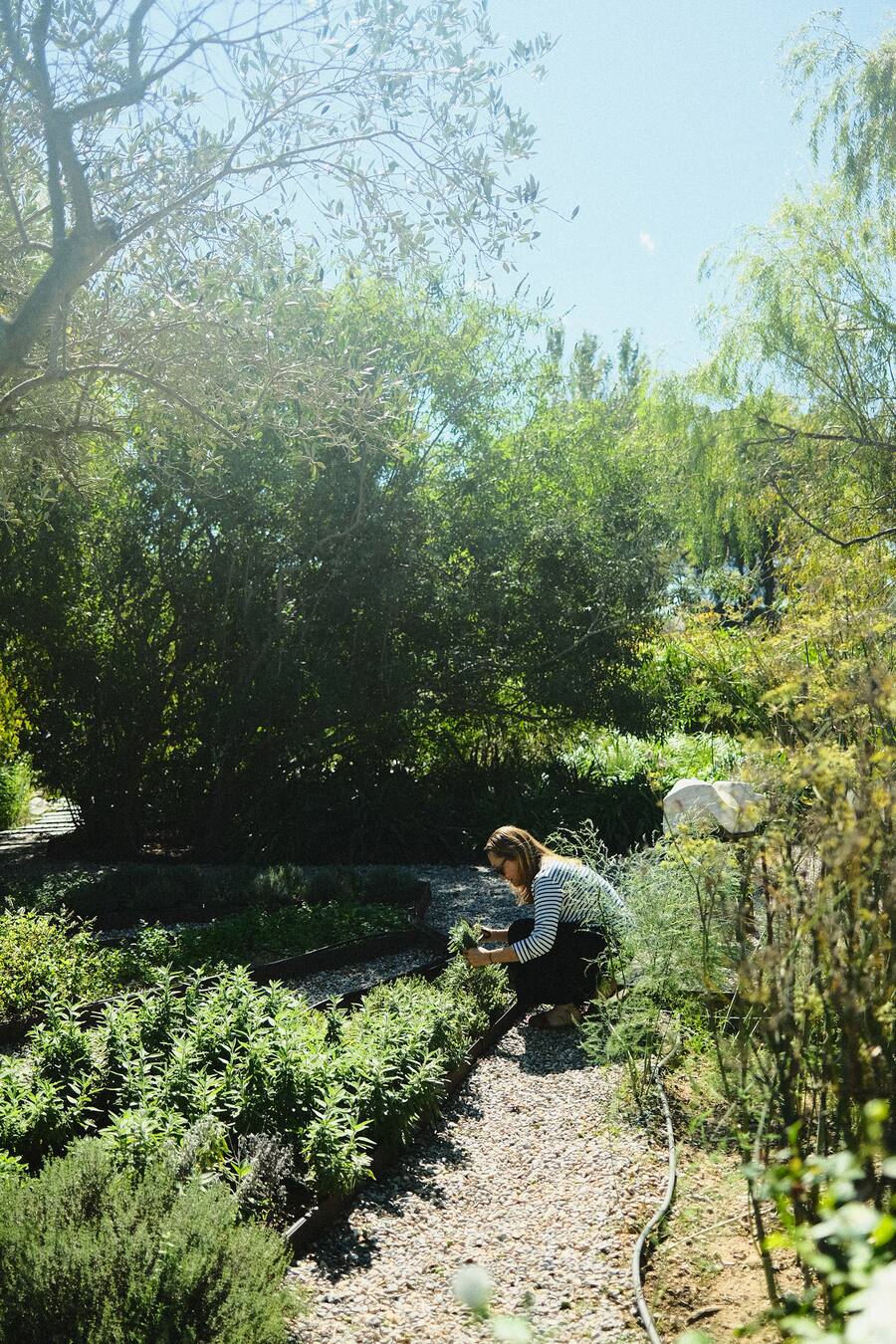 Tanja Grandits Kräutergarten