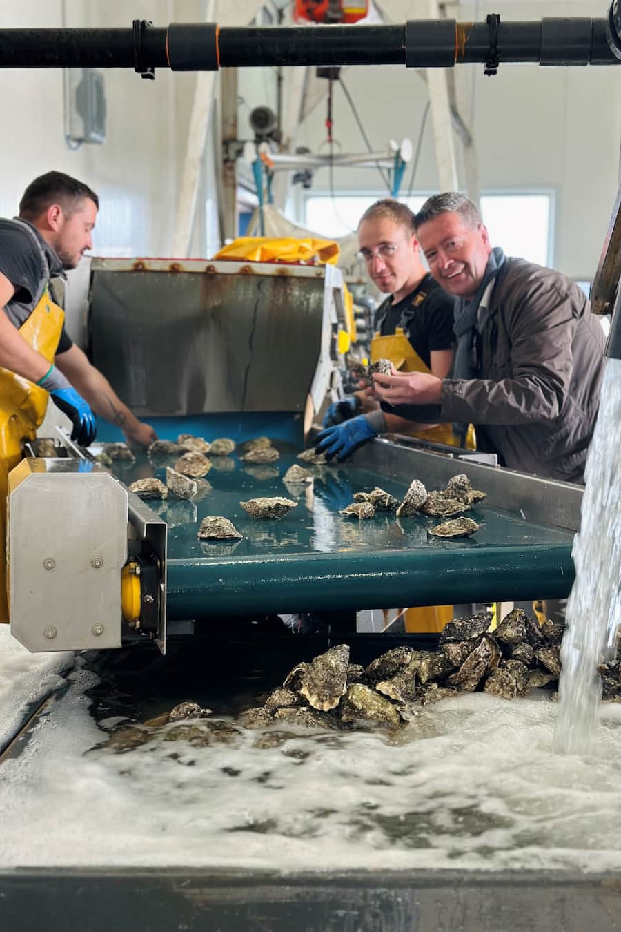 Bianchi bei den Gillardeau Austern