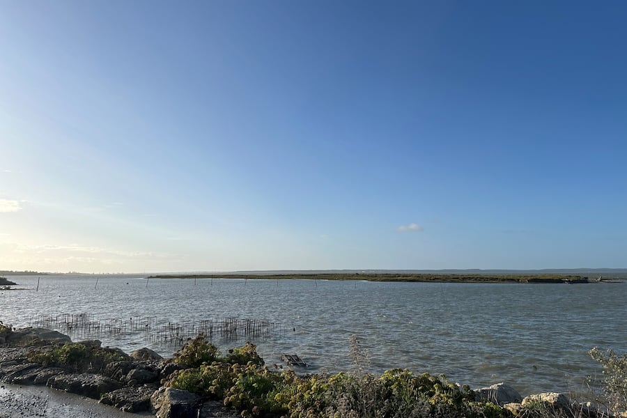 Bianchi bei den Gillardeau Austern