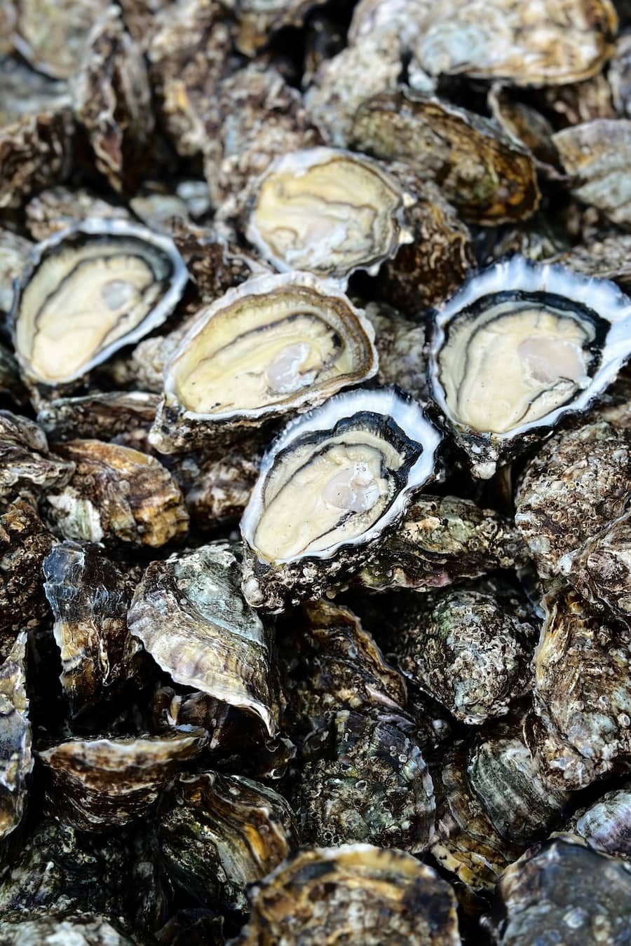 Bianchi bei den Gillardeau Austern