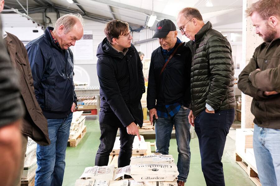 Bianchi bei den Gillardeau Austern