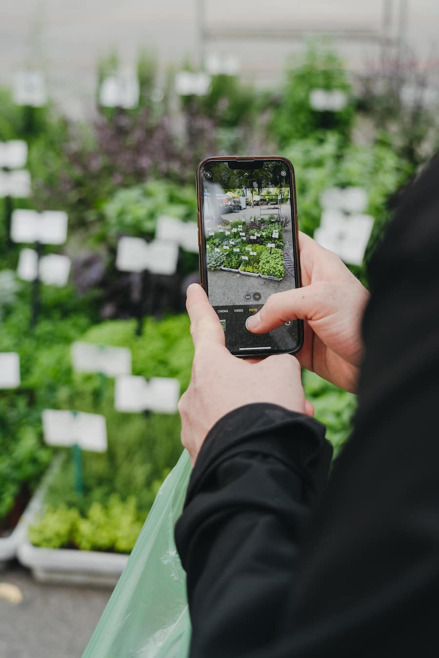 Die Chefs vom Orsini besuchen den Buerkliplatz Markt in Zurich - Mandarin Oriental Savoy Zurich - Hotel des Jahres 2025 - Sommer 2024 - Copyright Olivia Pulver