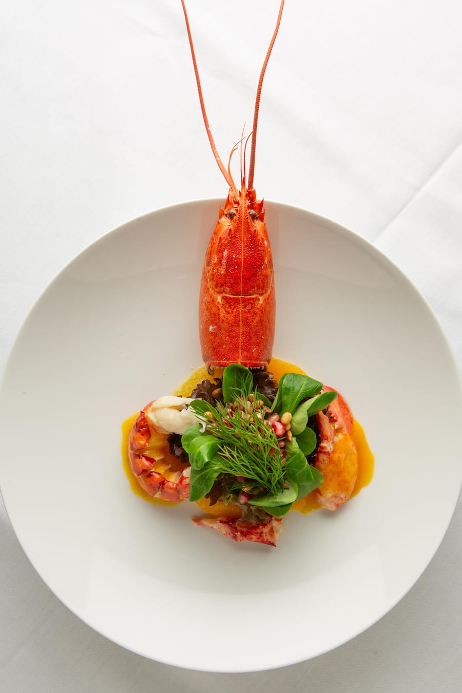 Hummer Salat âBeatriceâ / Beurre dâOranges