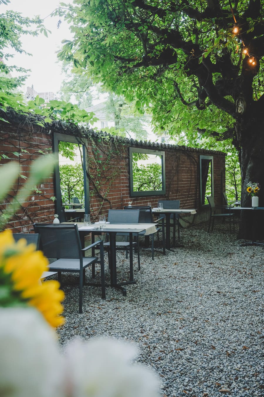 Luzern 2024: Maihöfli, Robert Steuri