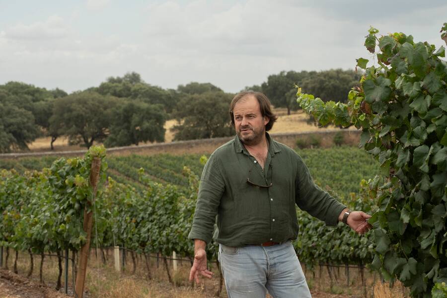 Rebmeister João Chamorro, Verantwortlich für alle Weingüter in Alentejo