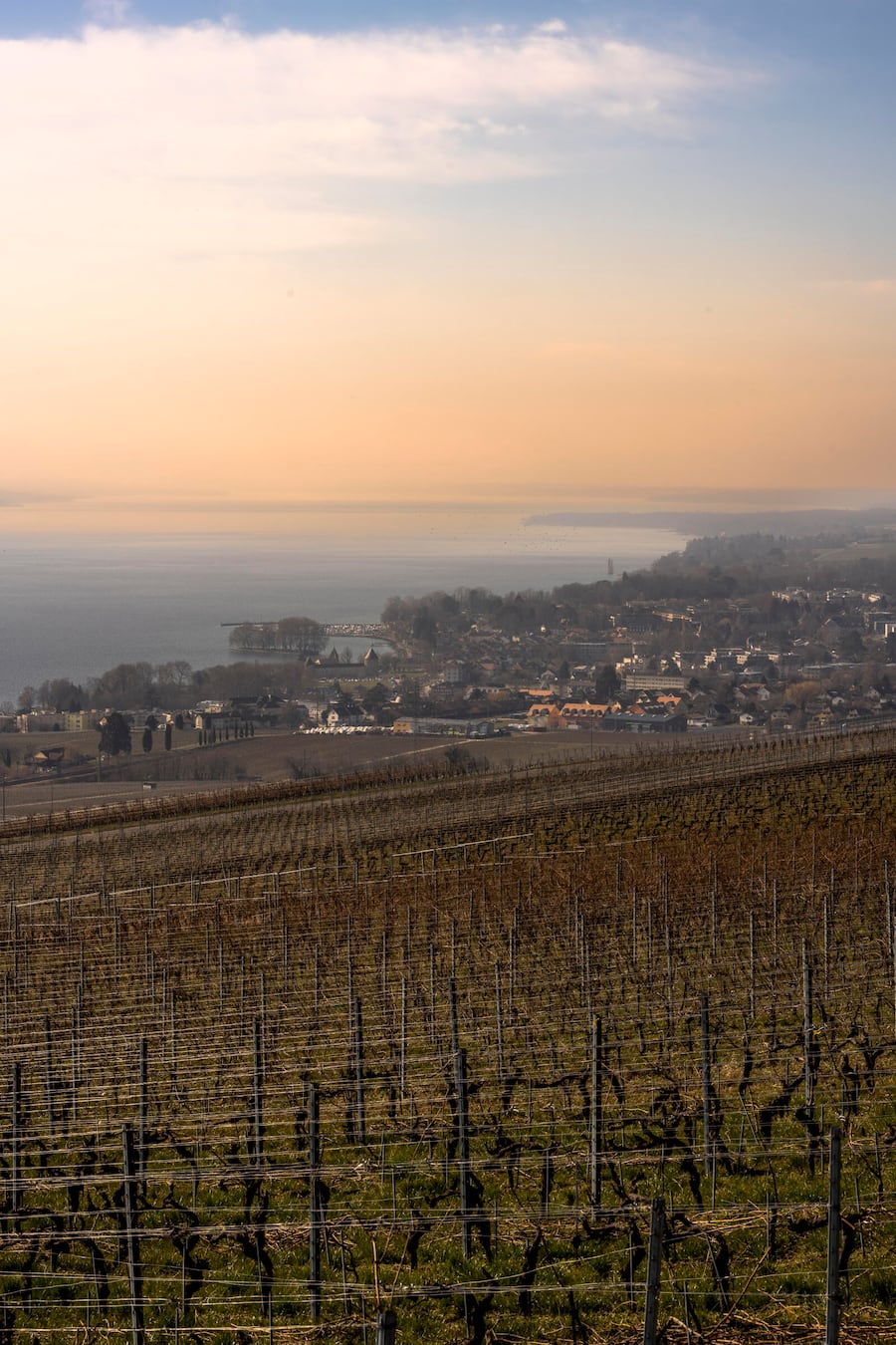 Blick auf Rolle und den See von Mont sur Rolle