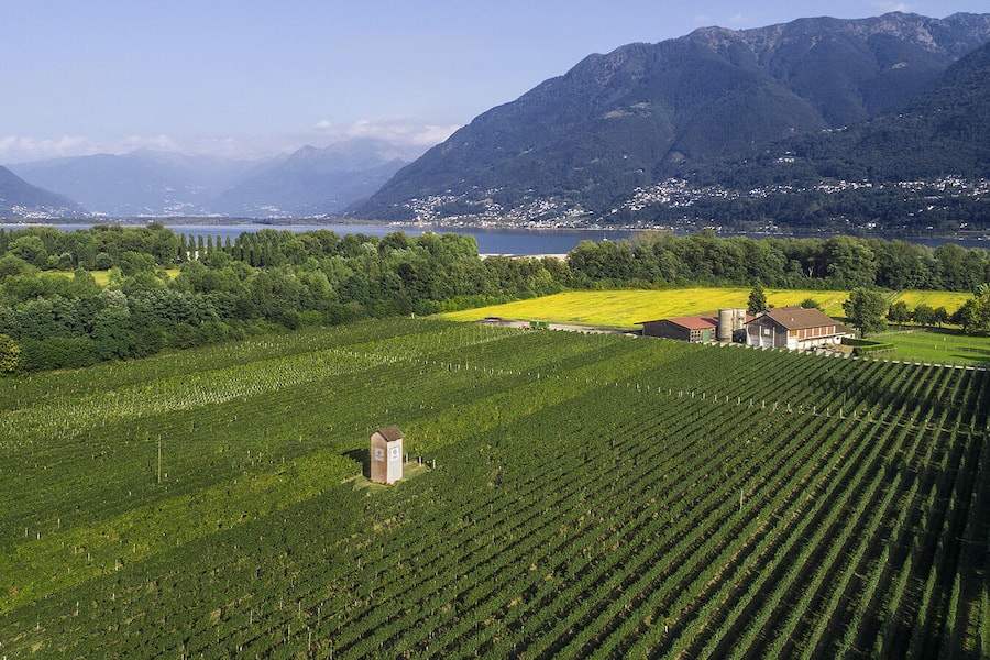 Terreni alla Maggia, Landwirtschaftsbetrieb, TI
