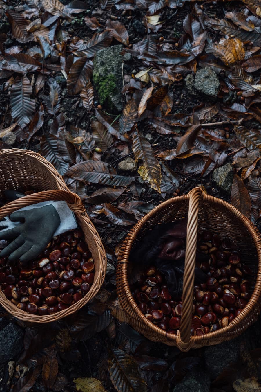 Vermicelleria Zurich