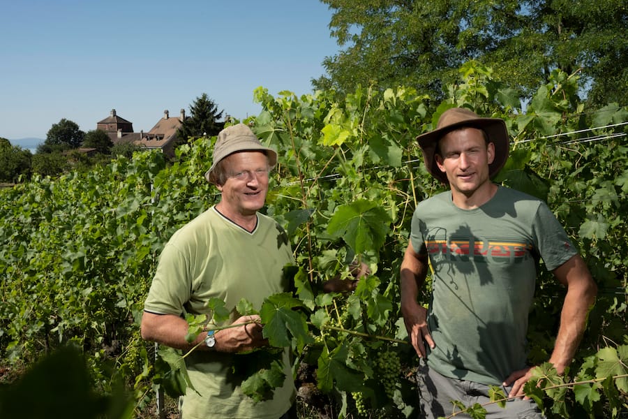 Jean-Denis und Alexandre Perrochet,Auvernier, Neuenburg, Neuchâtel, Schweiz,Suisse,Svizzera,Switzerland,