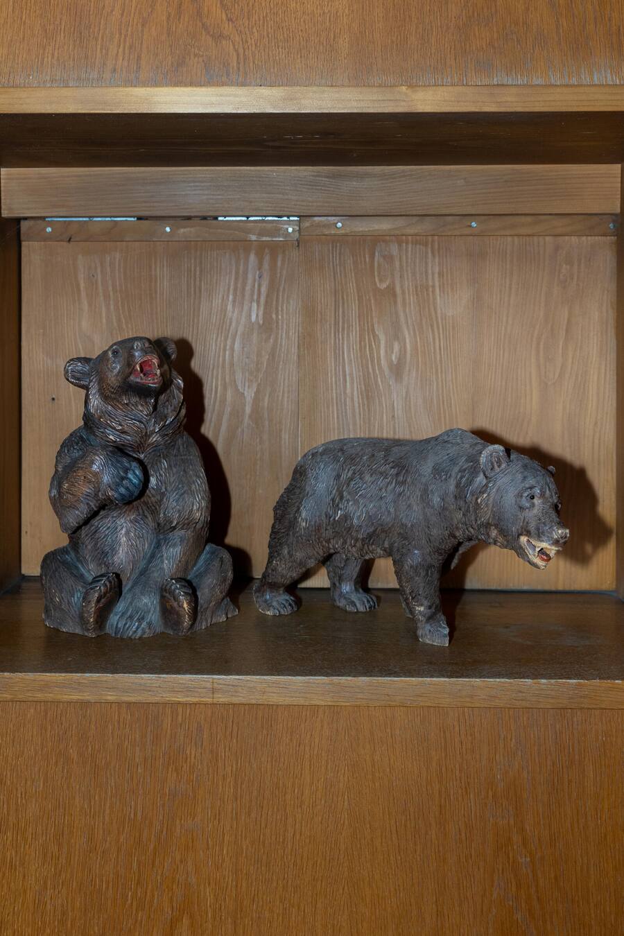 Bären in Madiswil Fotografiert am 13.11.2024