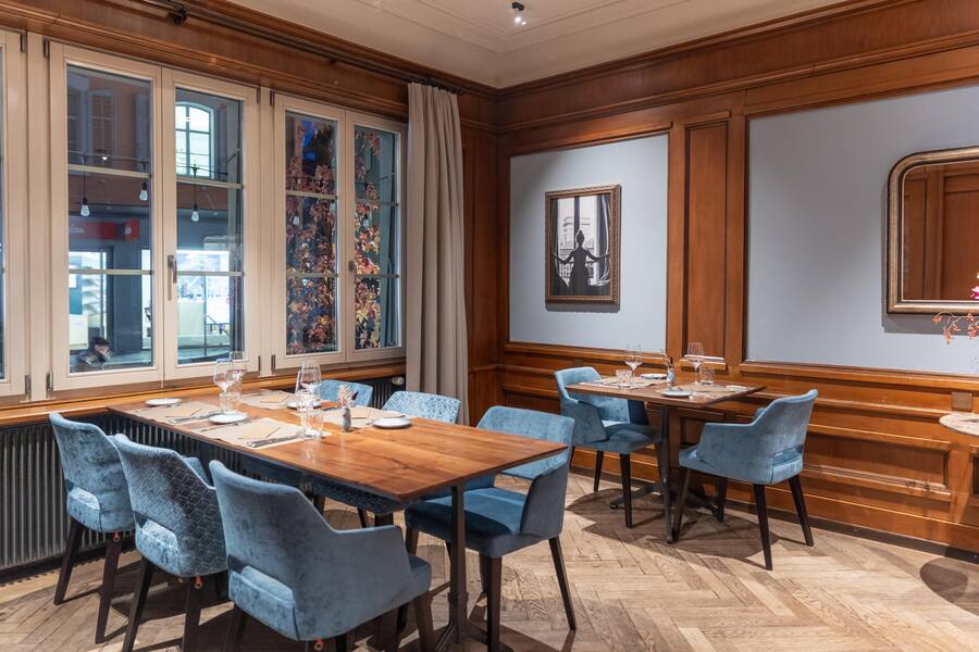 Bären in Langenthal Fotografiert am 13.11.2024