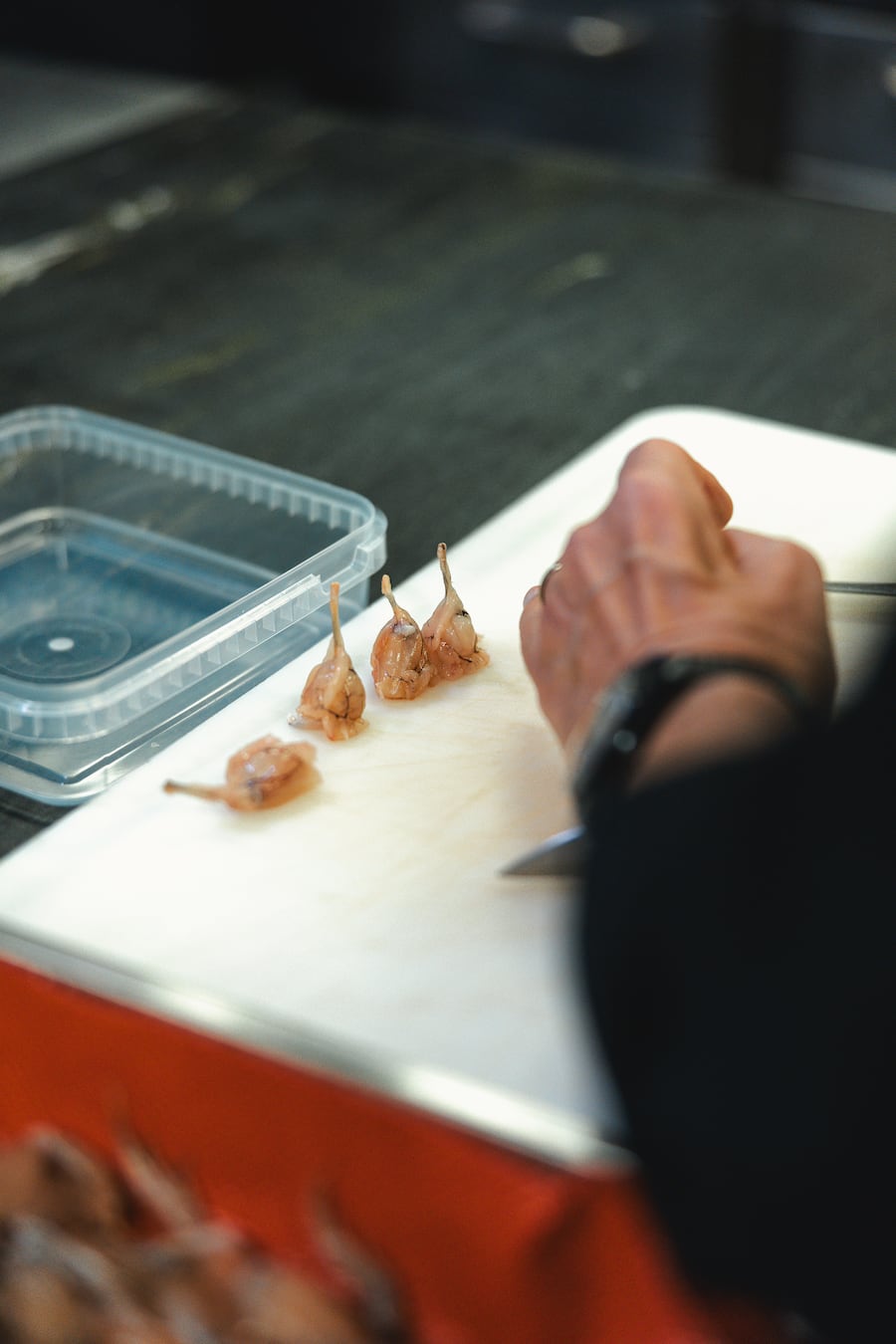30.10.2024, Wigoltingen TG, Taverne zum Schaefli, Christian Kuchler (photo by Remy Steiner for Gault Millau)