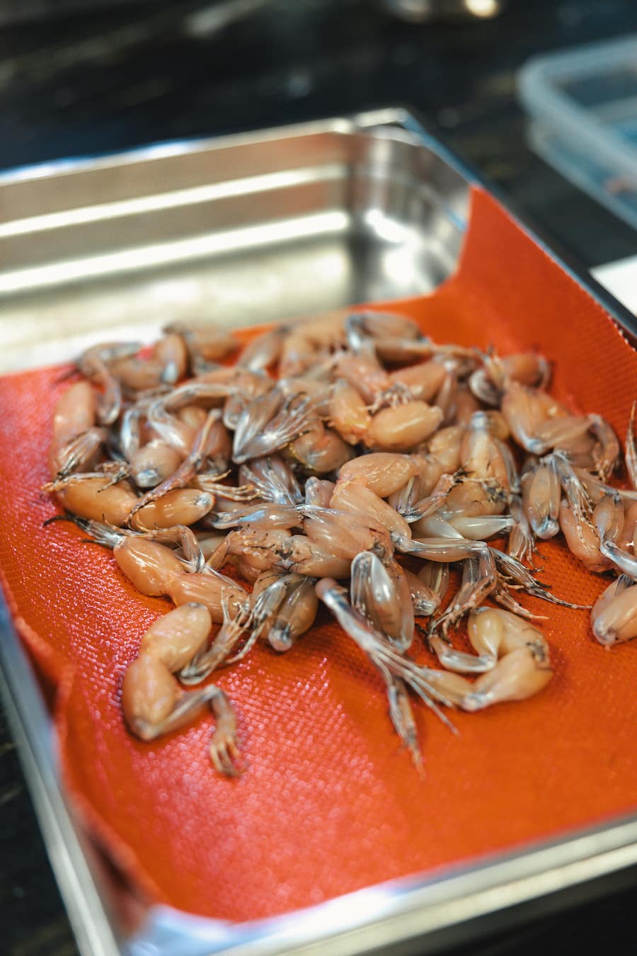 30.10.2024, Wigoltingen TG, Taverne zum Schaefli, Christian Kuchler (photo by Remy Steiner for Gault Millau)