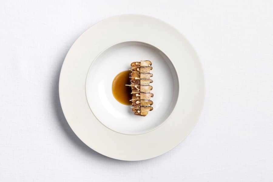 Kräuterseitling EMP