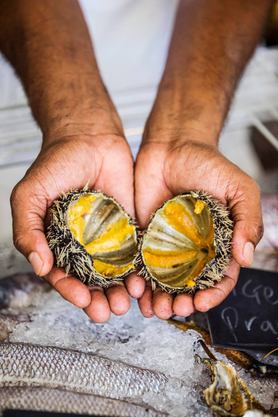 La_Pointe_Chefs_In_Action_Detail_Sea_Urchin