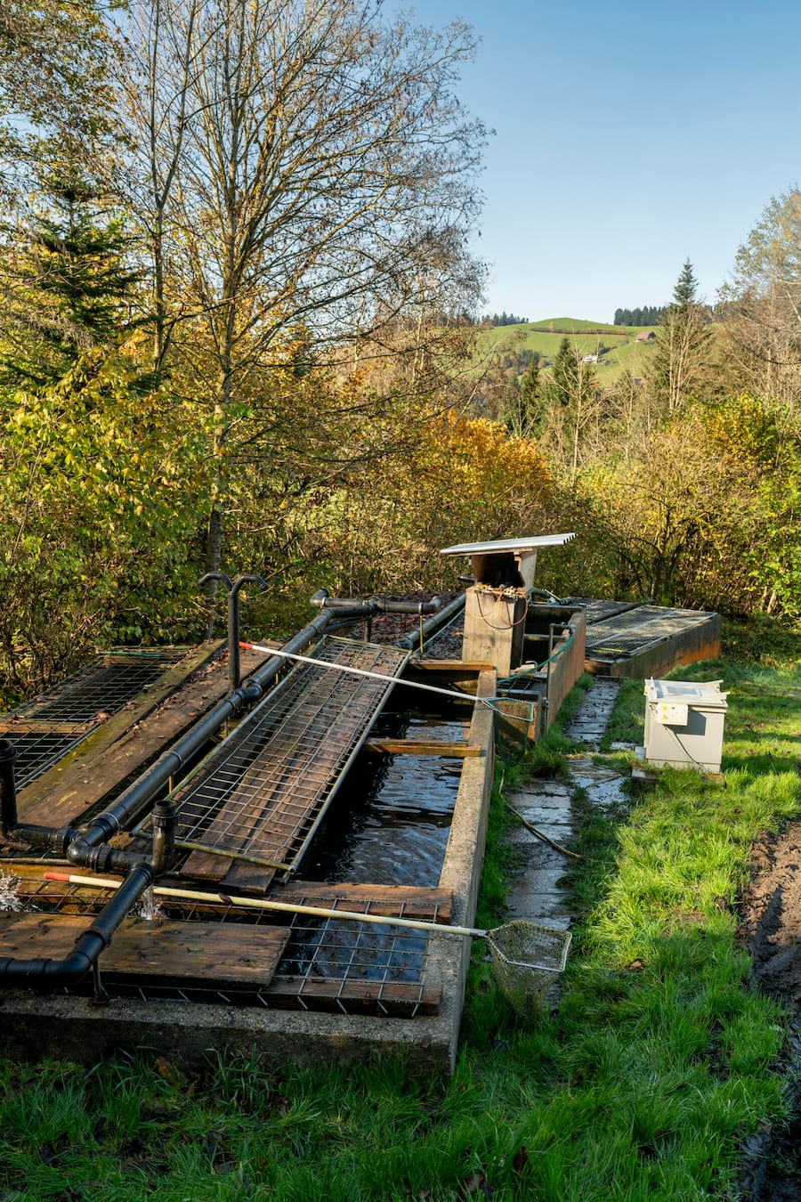 Bachforellenbecken, auf Langerlenhof, in Schwarzenbach