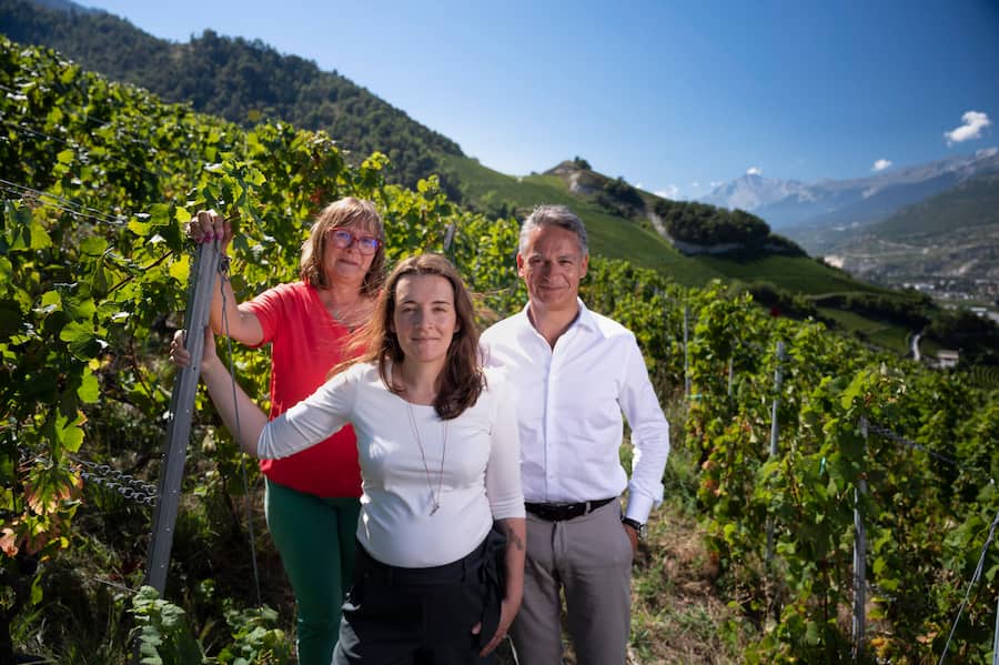 Delphine Dubuis, Ãnologin, Marie-Claude Grandchamp, Besitzerin, Raphaël Epiney, Direktor Ozenit SA, Raphael Epiney (Director), Winzer, Wallis © Hans-Peter Siffert